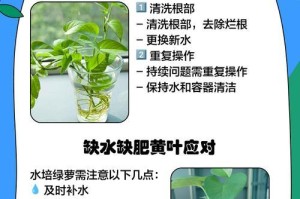 如何让水养的绿箩叶子恢复光泽？（针对没有光泽且变黄的绿箩叶子，探讨如何进行有效的护理和修复。）