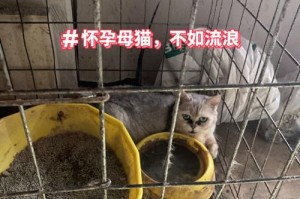 当钱不小心烂了，该如何处理？（遇到损坏的钞票，别急着放弃，还可以这样处理！）