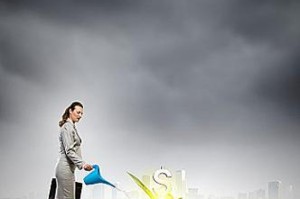 摇钱树秋天的正确浇水方法（秋季养护技巧，让摇钱树更茂盛）