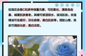 红玫瑰花的意义与传说（寓意深刻，传递真情；玫瑰之王，情人之花）