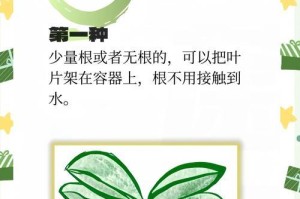如何养护蝴蝶兰湖花苗（一起来学习蝴蝶兰湖花苗的养护技巧吧！）