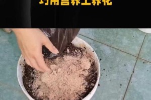 养花土的配方和技巧（打造适合不同花卉生长的养花土，让花儿长势喜人）