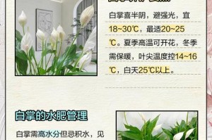 白掌土里有虫怎么办？（快速解决白掌土里虫害的有效方法）