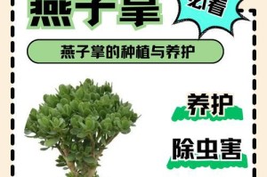 燕子掌的繁殖方法与技巧（培育美丽的燕子掌，一步步教你如何繁殖）