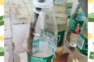 如何插活橡皮树并促进其生长（以橡皮树的插活方法和注意事项为主题的种植指南）