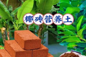 如何制作适合种花的土壤（打造理想的花园土壤，让花朵绽放绚丽）