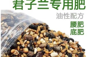 以君子兰怎么喂肥？（掌握关键方法，使君子兰健康茁壮）