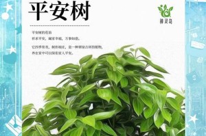 平安树的繁殖方法及注意事项（培育绿色生态，打造美好家园）