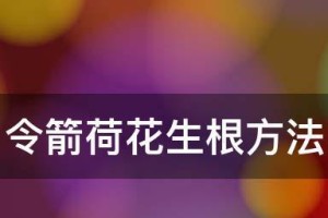 荷花令箭的修剪技巧（打造美丽的水上花园）
