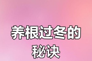 韭菜过冬的技巧与方法（保证丰美的韭菜收获的秘籍）