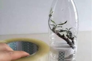 以泡沫板怎么种花（利用泡沫板打造花园的创意）