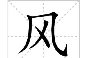石竹梅（四季芬芳，迎春寄意）