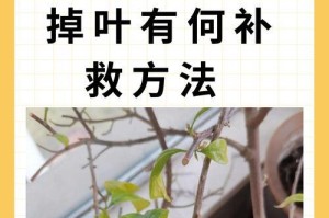 叶子发黑干枯怎么补救？（15种方法轻松拯救叶子发黑的植物）