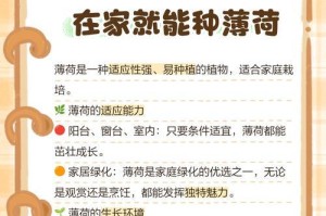 薄荷养殖技巧大揭秘！（轻松掌握薄荷养殖的关键诀窍，让你收获丰富的产量和品质！）