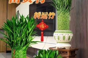 如何正确养护转运竹，避免黄叶问题（打造绿意盎然的室内环境）