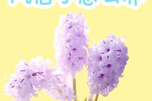 风信子发霉的处理方法（有效预防和解决风信子发霉问题）