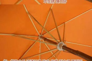 养护伞竹子的秘诀（打造绿意盎然的家居环境，）