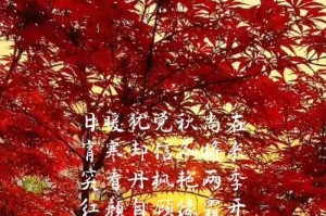 红枫叶的象征意义（探寻红枫叶在人们心中的深刻含义）