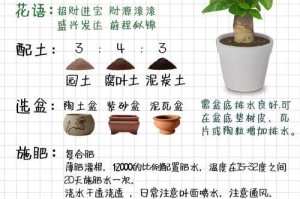 发财树树干中间发黑，怎么办？（发财树树干中间出现黑色，可能存在的问题及处理方法）