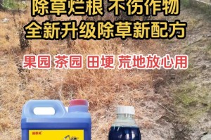草坪肥料选用指南（如何选择最适合草坪的肥料？）