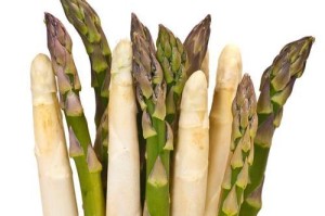 芦笋的最佳播种时间（从时机、土壤、气温等方面探讨最佳播种时间）