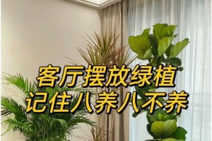 理发店植物招财大全（营造良好氛围，增加经营好运）
