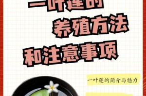 室内荷花的养殖方法（打造室内清新花海，学会室内荷花养殖的诀窍）