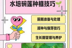 如何栽培并蒂莲？（从选择品种到日常护理，打造美丽花园）