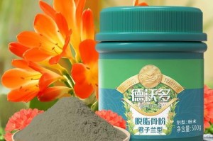 如何正确使用君子兰专用肥增强植株健康（掌握君子兰专用肥的使用方法，打造美丽的花园）