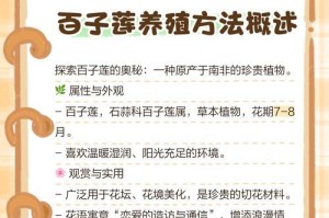 百子莲分株后根受损怎么办？（保护百子莲分株的根，让它健康成长）
