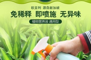 发现植物绿叶宝的神奇用途（探索绿叶宝的科学应用与保健价值）