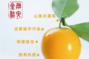 金桔美食之乡——福建（探寻金桔的故乡与美味）