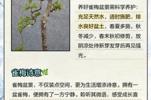 雀梅养护全攻略（轻松掌握雀梅养护技巧，让你的花园盛开美丽）