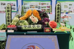 谷类农作物的发展现状及前景（多品种生产、适应性强、丰产高效的优势分析）