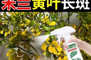 治疗米兰花长白班的有效方法