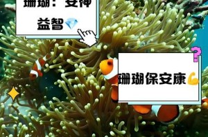 盆珊瑚的养护指南（掌握养护技巧，打造美丽盆景）