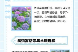 白玉兰花叶子发黄的原因及处理方法（揭秘白玉兰花叶子发黄背后的秘密）