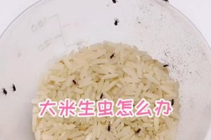 沤肥生虫的原因及防治措施（探究沤肥生虫的原因，共同寻找防治之道）