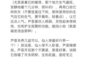 芦荟养种指南（培养健康芦荟的技巧与要点）