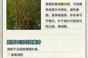 刺梅叶子变黄的原因及处理方法（刺梅叶子变黄是何原因引起的？如何防治？）