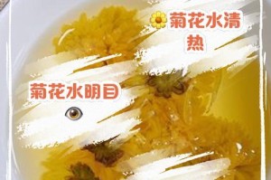 菊花养护指南——浇水频率（掌握浇水时间，让菊花开得更美）