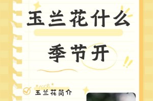 白玉兰花的繁花绽放之道（探秘白玉兰花如何开出更多的花朵）