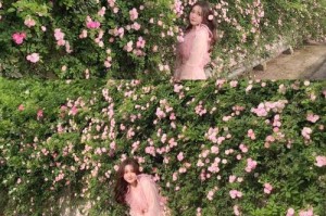 小矮花摄影指南（如何拍摄出小矮花的美丽与细节？）