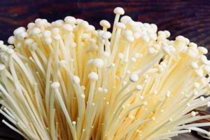金针菇的营养与食用方法（生吃金针菇的好处及注意事项）