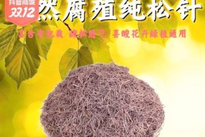 以干松针种花创造美丽花园的秘密（干松针利用技巧与注意事项）