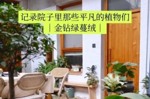绿蔓冬天养殖全攻略（在寒冷冬季如何正确养护绿蔓？绿蔓冬季养殖注意事项详解）